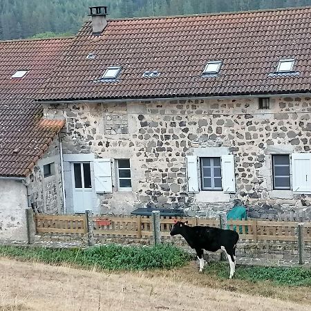 Gite A La Ferme Le Malzieu-Ville エクステリア 写真
