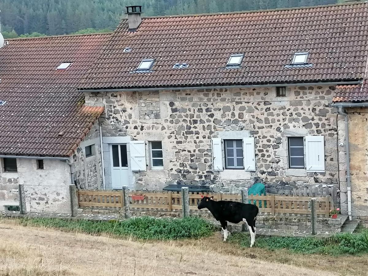 Gite A La Ferme Le Malzieu-Ville エクステリア 写真