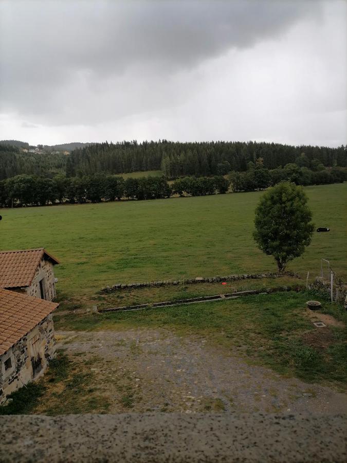 Gite A La Ferme Le Malzieu-Ville エクステリア 写真