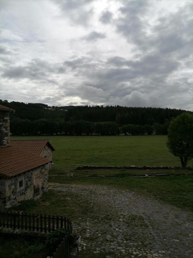 Gite A La Ferme Le Malzieu-Ville エクステリア 写真